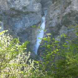 Neuschwanstein  Picture 100.jpg